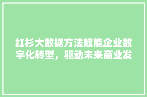红杉大数据方法赋能企业数字化转型，驱动未来商业发展