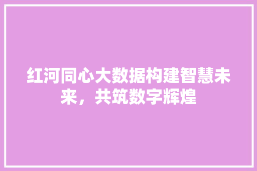 红河同心大数据构建智慧未来，共筑数字辉煌