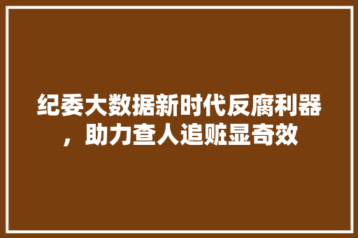 纪委大数据新时代反腐利器，助力查人追赃显奇效 编程语言