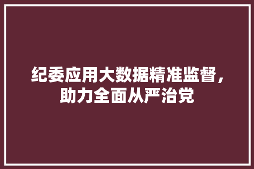 纪委应用大数据精准监督，助力全面从严治党 电脑基础