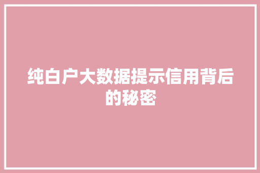 纯白户大数据提示信用背后的秘密 编程语言