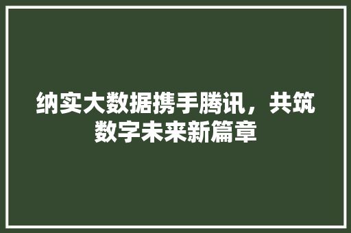 纳实大数据携手腾讯，共筑数字未来新篇章