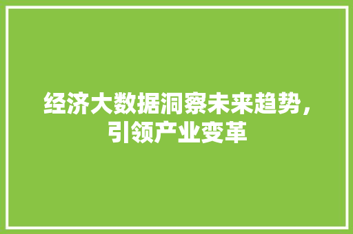 经济大数据洞察未来趋势，引领产业变革