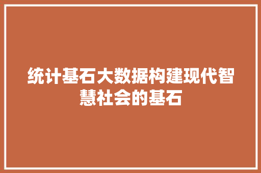 统计基石大数据构建现代智慧社会的基石