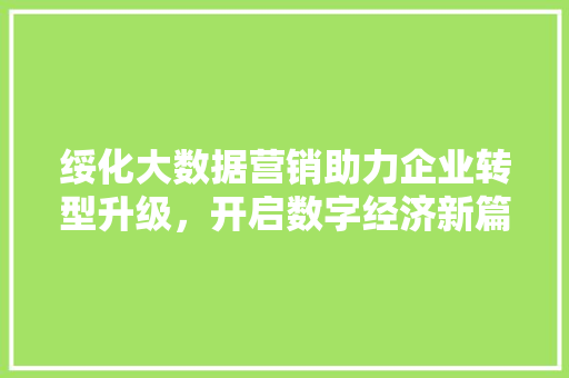 绥化大数据营销助力企业转型升级，开启数字经济新篇章