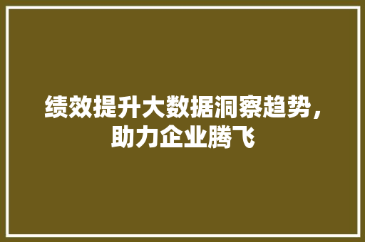 绩效提升大数据洞察趋势，助力企业腾飞