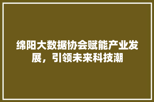 绵阳大数据协会赋能产业发展，引领未来科技潮 操作系统