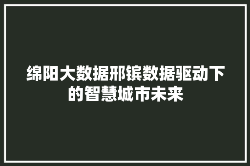 绵阳大数据邢镔数据驱动下的智慧城市未来