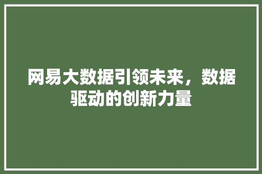 网易大数据引领未来，数据驱动的创新力量