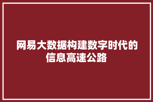 网易大数据构建数字时代的信息高速公路