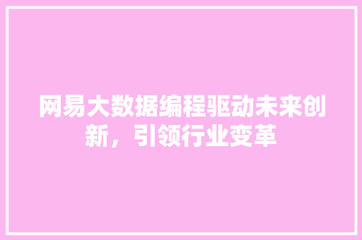 网易大数据编程驱动未来创新，引领行业变革