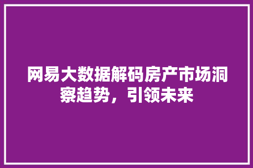 网易大数据解码房产市场洞察趋势，引领未来