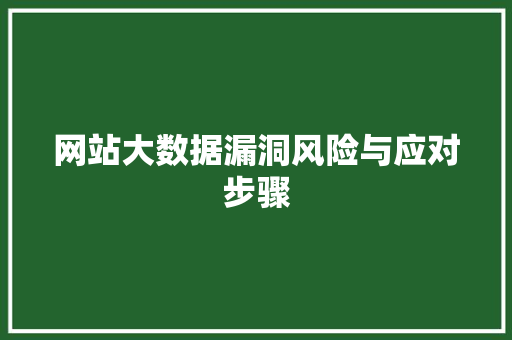 网站大数据漏洞风险与应对步骤 网站大数据漏洞风险与应对步骤