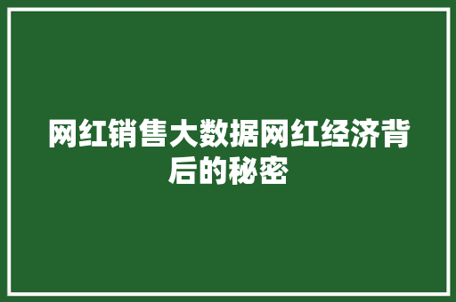 网红销售大数据网红经济背后的秘密 网红销售大数据网红经济背后的秘密