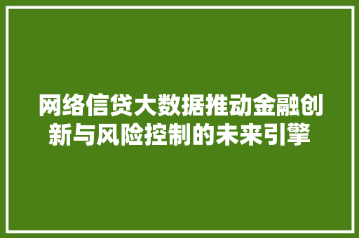 网络信贷大数据推动金融创新与风险控制的未来引擎 网络信贷大数据推动金融创新与风险控制的未来引擎