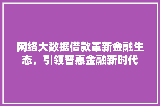 网络大数据借款革新金融生态,引领普惠金融新时代 网络大数据借款革新金融生态,引领普惠金融新时代