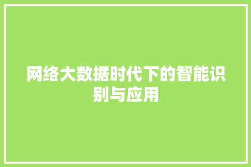 网络大数据时代下的智能识别与应用