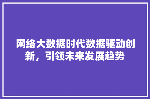 网络大数据时代数据驱动创新，引领未来发展趋势