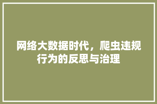 网络大数据时代，爬虫违规行为的反思与治理