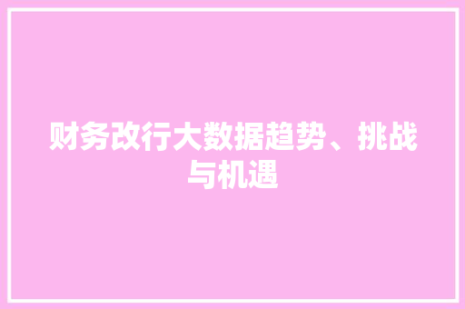 财务改行大数据趋势、挑战与机遇