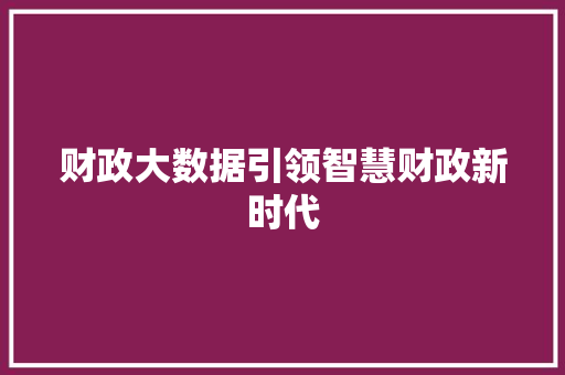 财政大数据引领智慧财政新时代