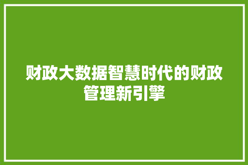 财政大数据智慧时代的财政管理新引擎