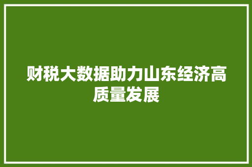 财税大数据助力山东经济高质量发展