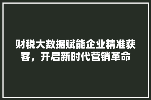 财税大数据赋能企业精准获客，开启新时代营销革命