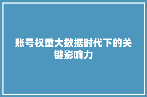 账号权重大数据时代下的关键影响力