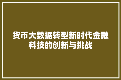 货币大数据转型新时代金融科技的创新与挑战