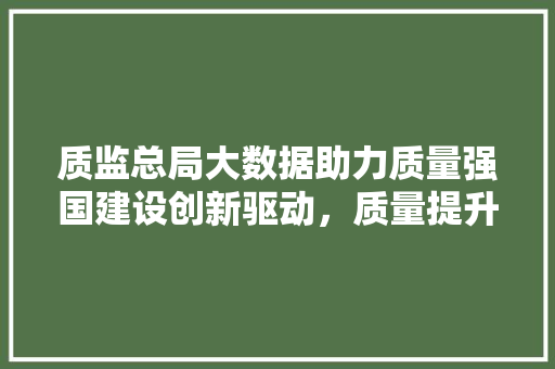 质监总局大数据助力质量强国建设创新驱动，质量提升
