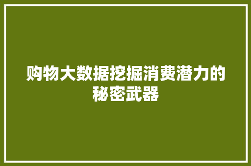 购物大数据挖掘消费潜力的秘密武器