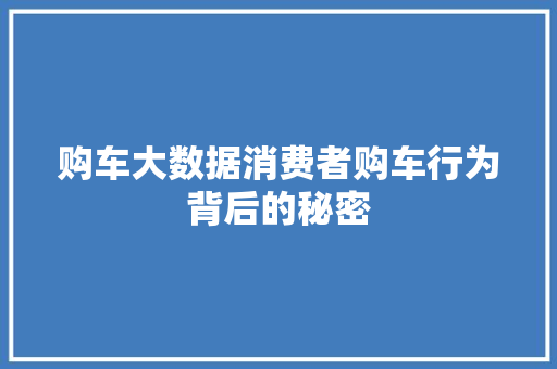 购车大数据消费者购车行为背后的秘密