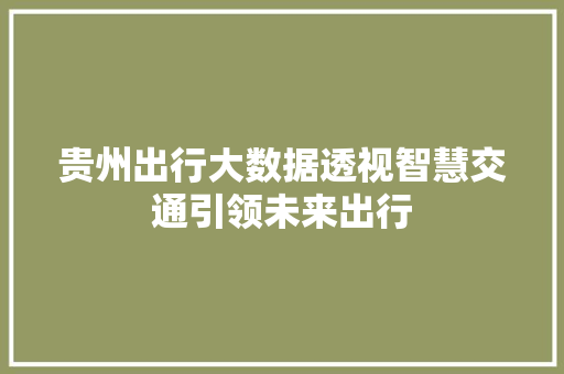 贵州出行大数据透视智慧交通引领未来出行