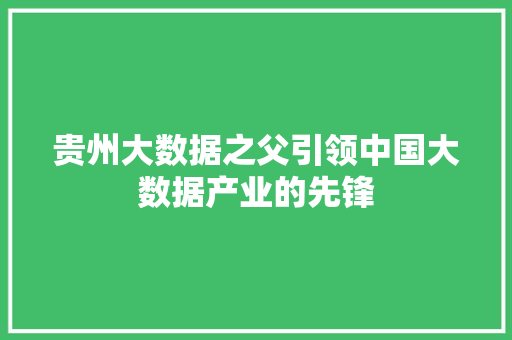 贵州大数据之父引领中国大数据产业的先锋 编程语言