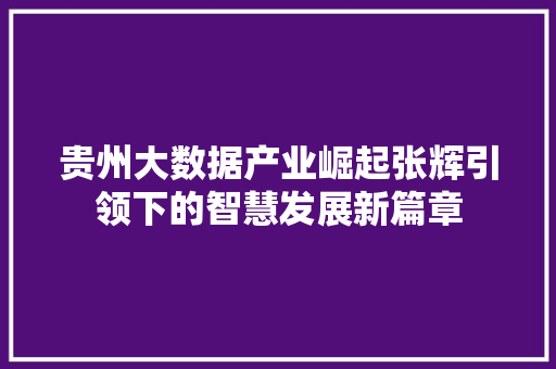 贵州大数据产业崛起张辉引领下的智慧发展新篇章