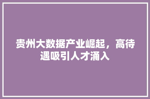 贵州大数据产业崛起，高待遇吸引人才涌入