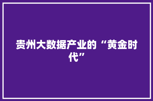 贵州大数据产业的“黄金时代”