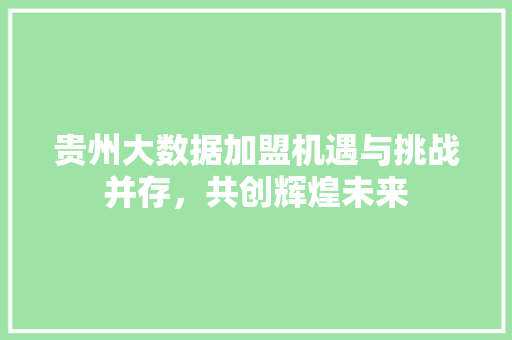 贵州大数据加盟机遇与挑战并存，共创辉煌未来