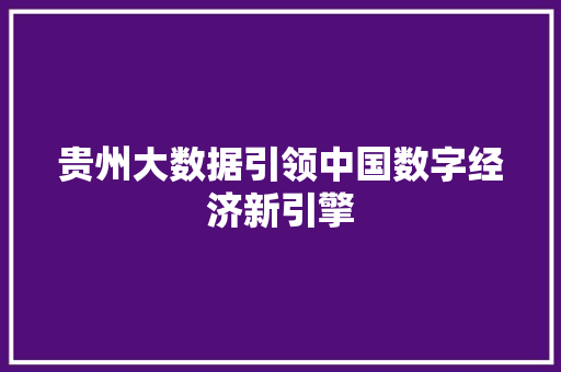 贵州大数据引领中国数字经济新引擎