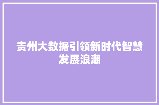 贵州大数据引领新时代智慧发展浪潮