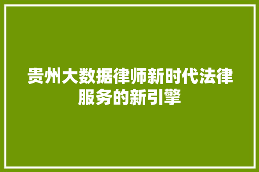 贵州大数据律师新时代法律服务的新引擎