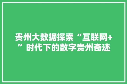 贵州大数据探索“互联网+”时代下的数字贵州奇迹