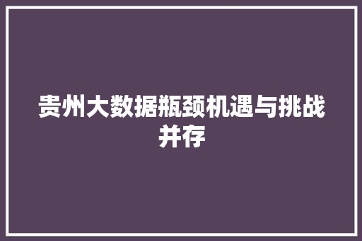 贵州大数据瓶颈机遇与挑战并存