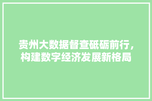 贵州大数据督查砥砺前行，构建数字经济发展新格局