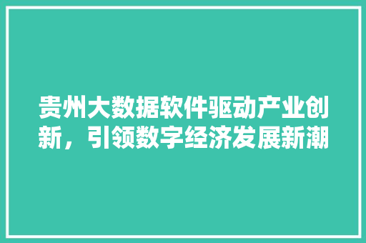 贵州大数据软件驱动产业创新，引领数字经济发展新潮流