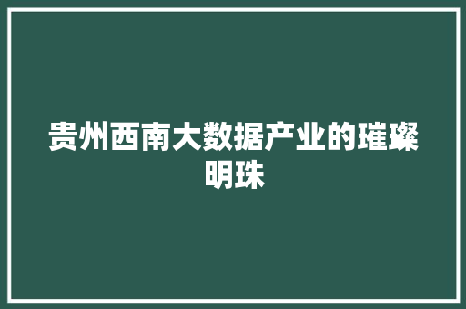 贵州西南大数据产业的璀璨明珠