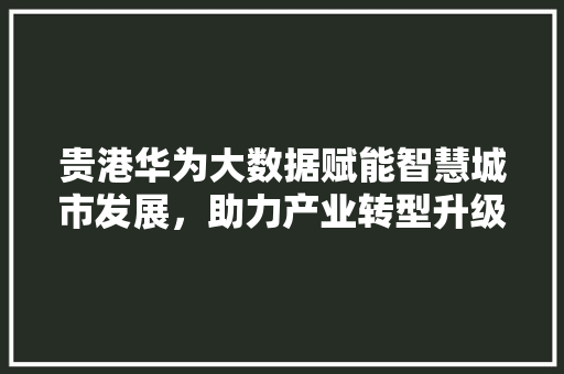 贵港华为大数据赋能智慧城市发展,助力产业转型升级 贵港华为大数据赋能智慧城市发展,助力产业转型升级