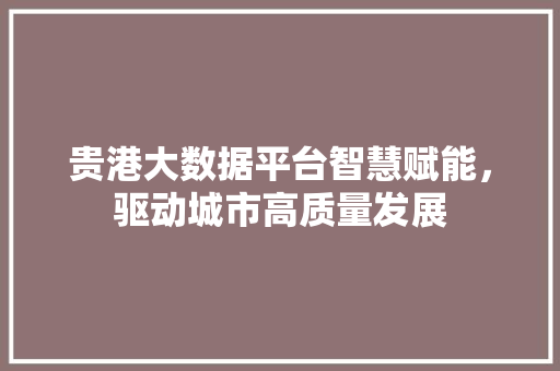 贵港大数据平台智慧赋能,驱动城市高质量发展 贵港大数据平台智慧赋能,驱动城市高质量发展