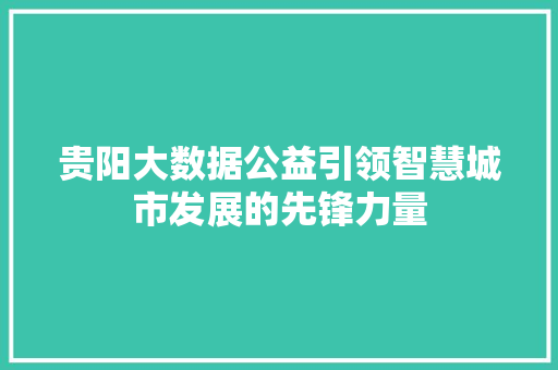 贵阳大数据公益引领智慧城市发展的先锋力量